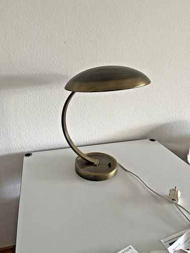 Presunto kaiser idell - idell,